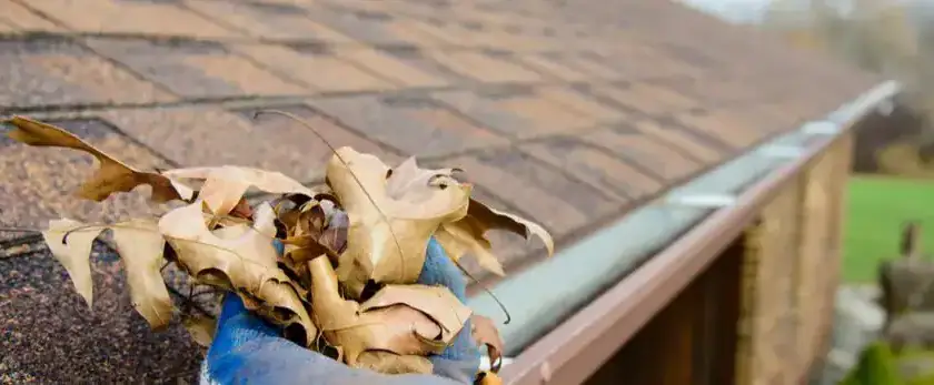 Tetto che mostra una grondaia piena di foglie, Lattoneria Cotugno potrebbe pulirla benissimo.