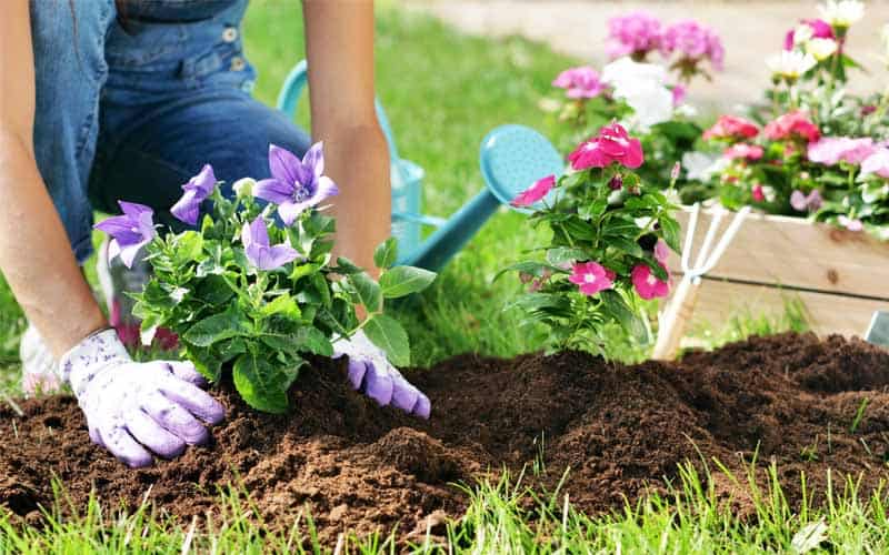 5 Consigli per il Giardinaggio: Strumenti e Tecniche