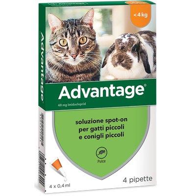 ANTIPARASSITARIO ADVANTAGE GATTI ELANCO - KG 0/4 CF=PZ 4
