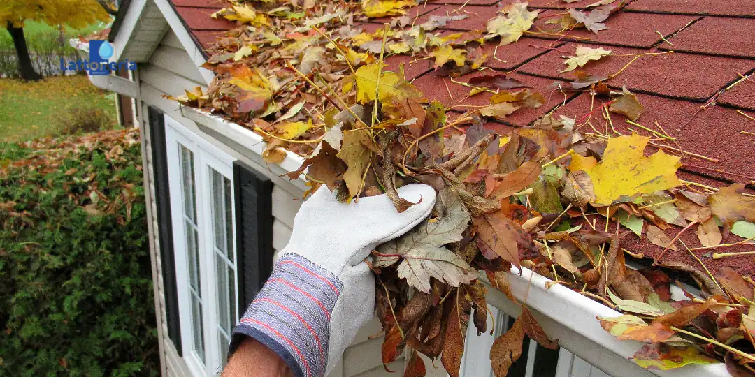 Mano con guanto che rimuove foglie autunnali dalla grondaia per la pulizia e prevenzione delle infiltrazioni