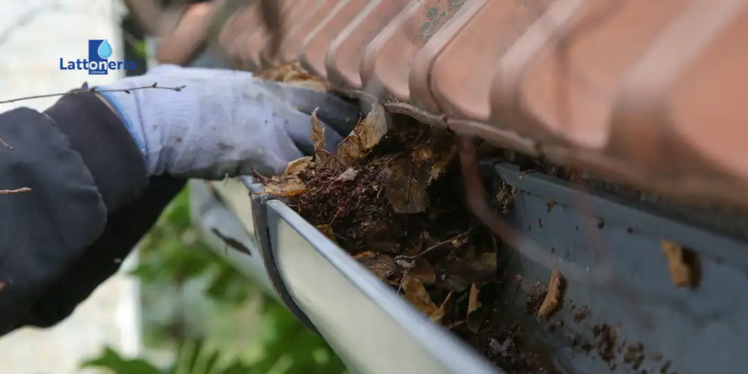 Pulizia grondaia esterna: mani con guanti raccolgono grandi foglie secche da una gronda in lamiera su tetto metallico, Lattoneria Cotugno.