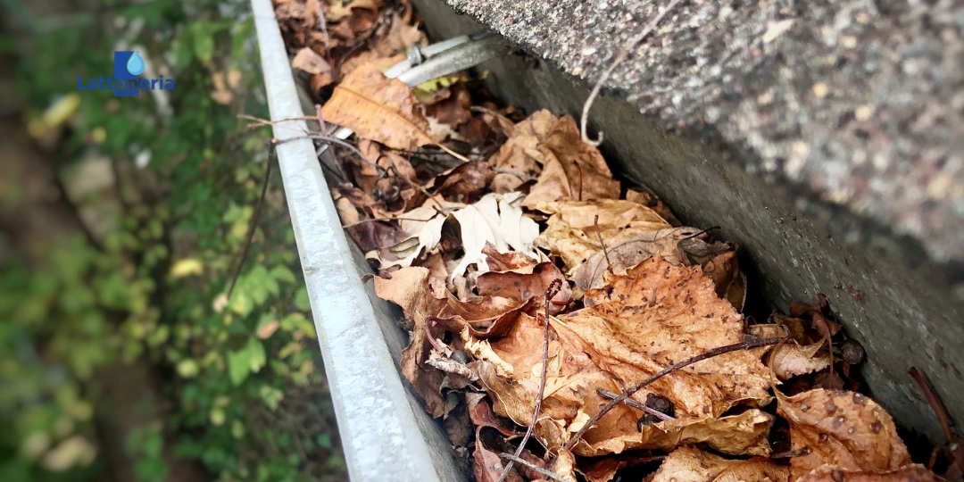 Canale di gronda pieno di foglie su tetto residenziale, segnale tipico di grondaie intasate e cattivo smaltimento dell’acqua piovana (logo Lattoneria).