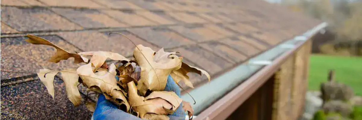 Pulizia grondaie e pluviali